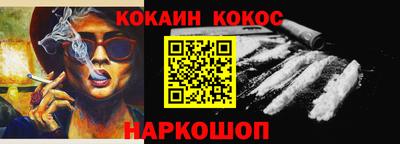 крисы Моздок