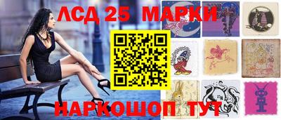 крисы Моздок