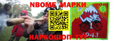 крисы Моздок