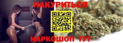 крисы Моздок