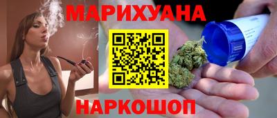 крисы Моздок