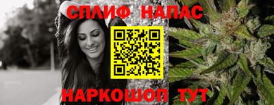 крисы Моздок