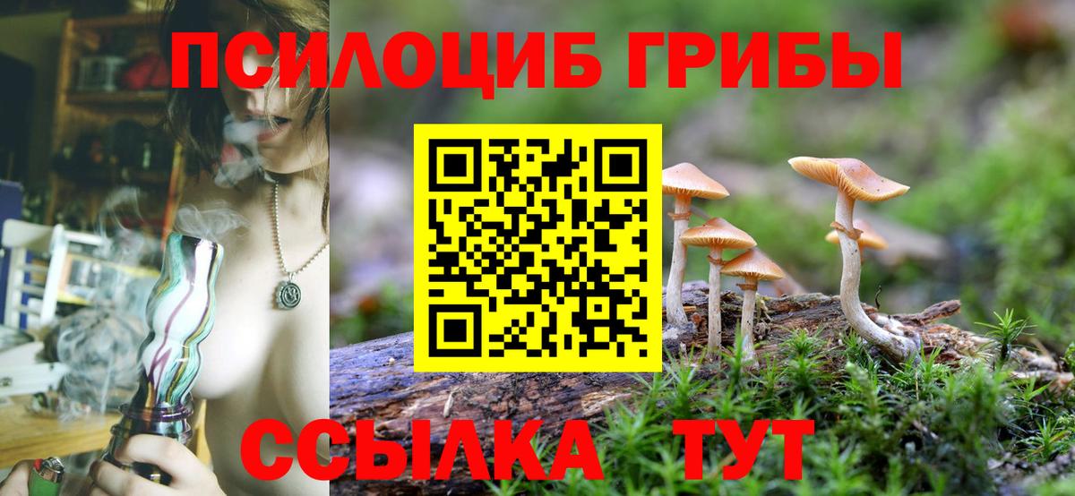 Чапаевск  Галлюциногенные грибы мицелий  Вход с VPN 